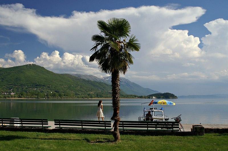 New Studio 70M To The Lake Ohrid Eksteriør billede