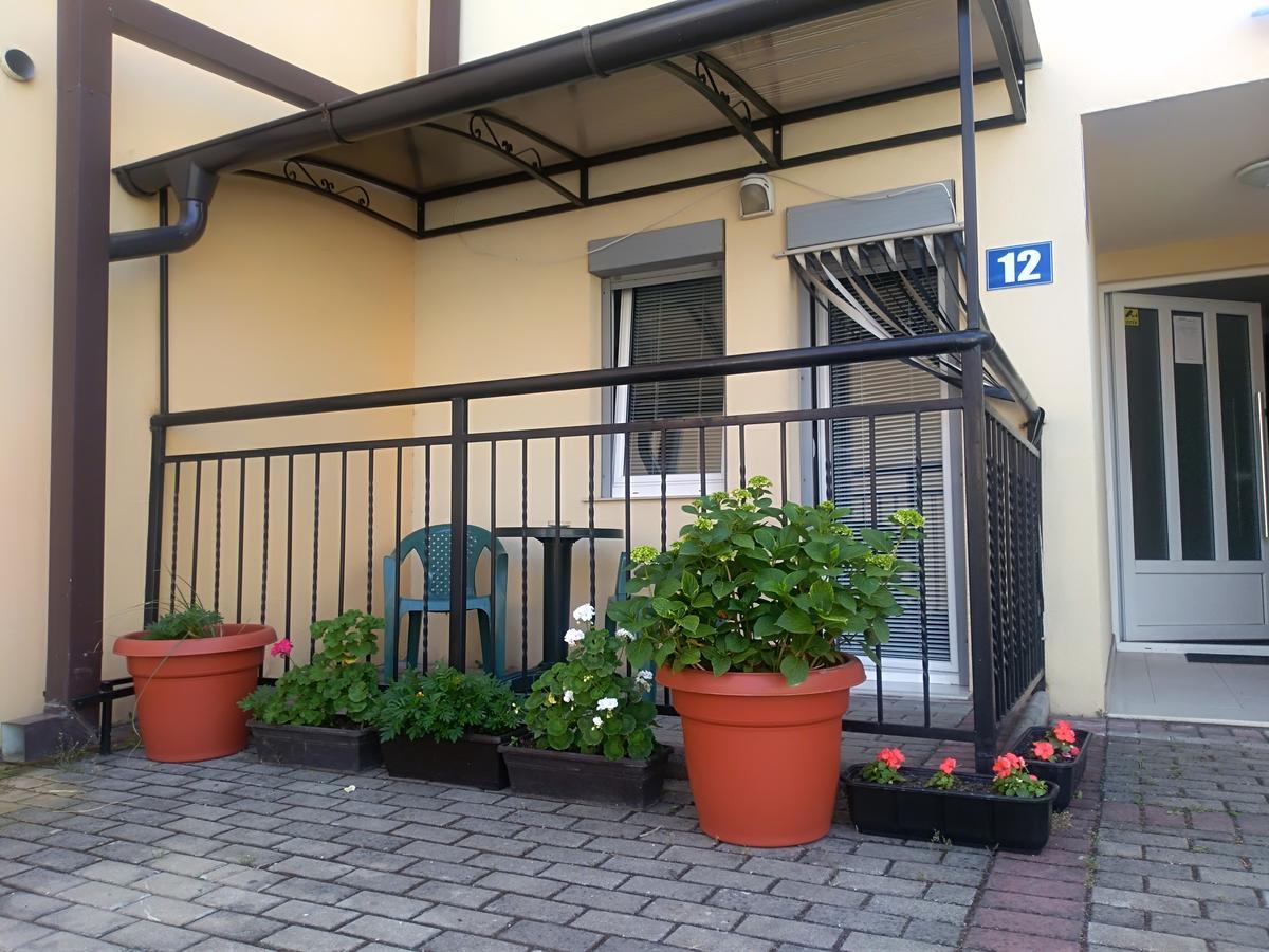 New Studio 70M To The Lake Ohrid Eksteriør billede